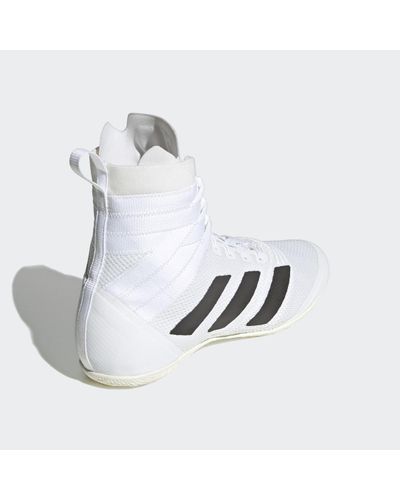 speedex 18 boksschoenen