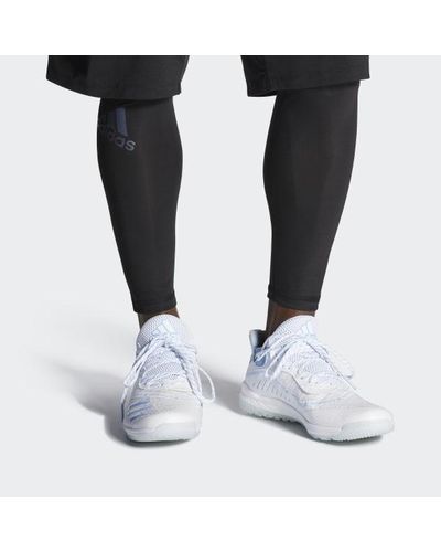 icon v trainer