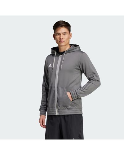 adidas M Team Fz Hood - Grey