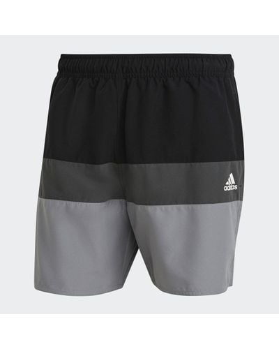 adidas Short-Length Colorblock Swim Shorts - Grey