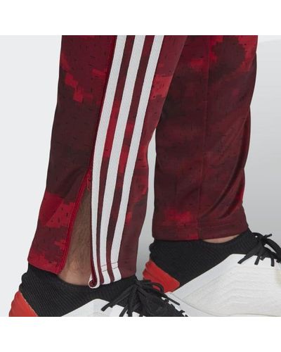 tiro 19 camo training pants red