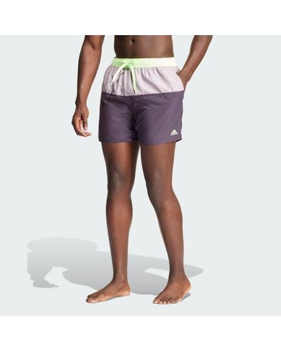 adidas Colorblock Clx Swim Shorts - Purple