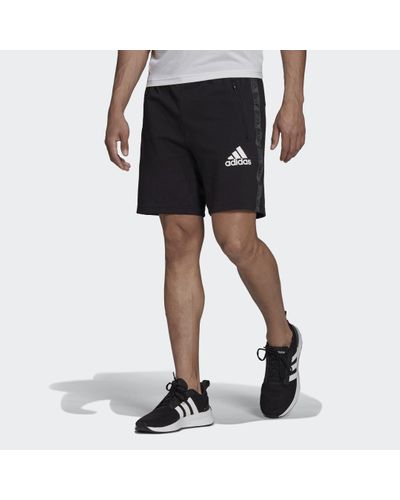 adidas Baumwolle AEROREADY Designed to Move Sport Motion Logo Shorts in  Schwarz für Herren | Lyst DE