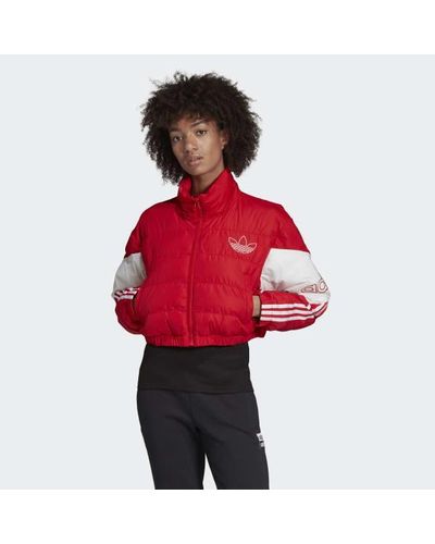 adidas cropped puffer jacket
