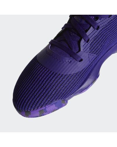 adidas pro bounce purple