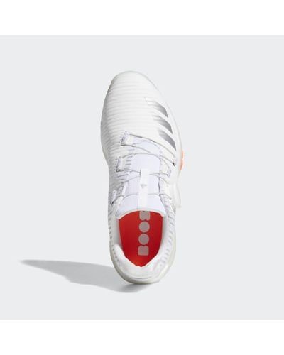 adidas women's w codechaos boa golf shoe