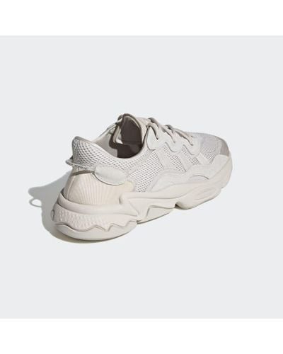 Beige — Sortie Boutique Pour Homme :Accessoires,Chaussures,Vêtement Et Plus  — Kristen McMartin