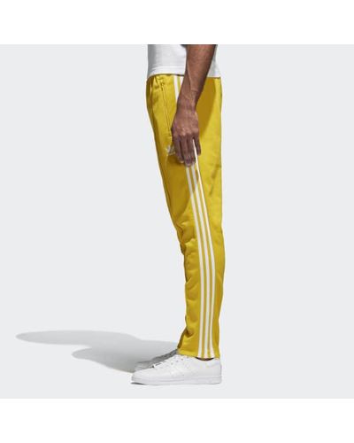 adidas Cotton Bb Track Pants in Yellow for Men - Lyst