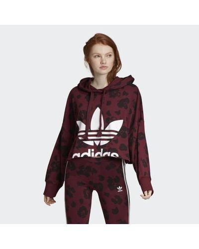 adidas Cotton Cropped Leopard-print 