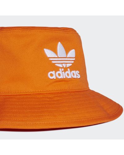 bob adidas adicolor