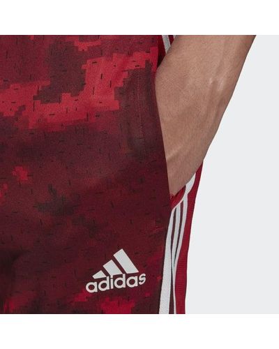 tiro 19 camo training pants red