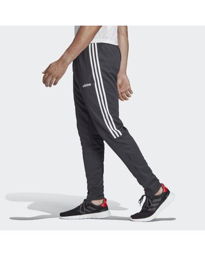mens adidas sereno training pants