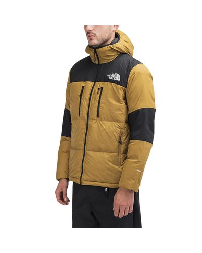 north face himalayan light down