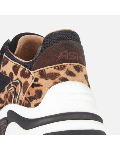 ash addict trainers black