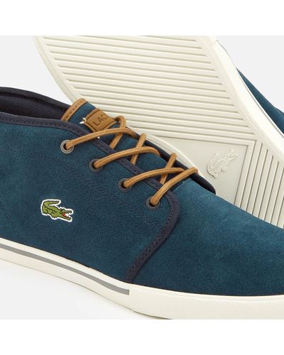 lacoste ampthill