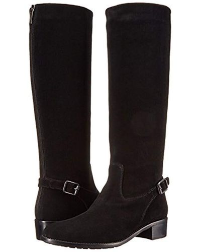 aquatalia hana boots