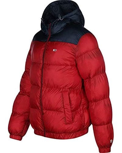 tommy hilfiger samba jacket