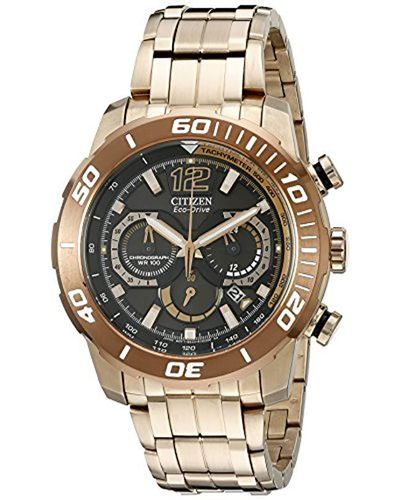 citizen eco drive primo