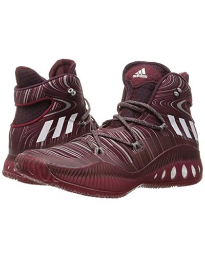 adidas Performance Crazy Explosive 