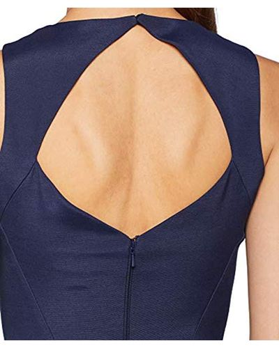coast orsay dress