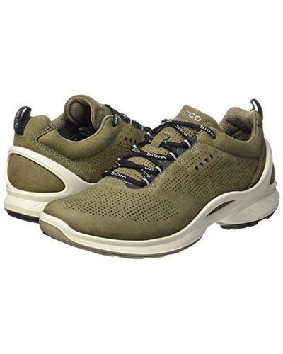 ecco biom fjuel train