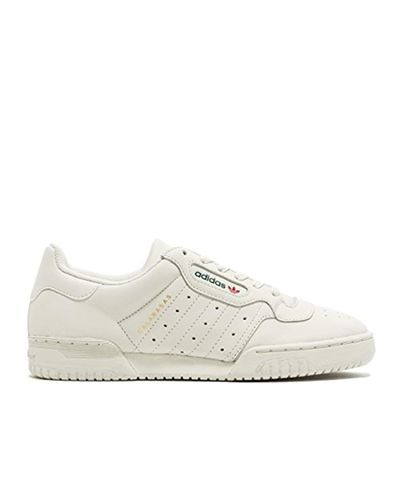 adidas powerphase cream