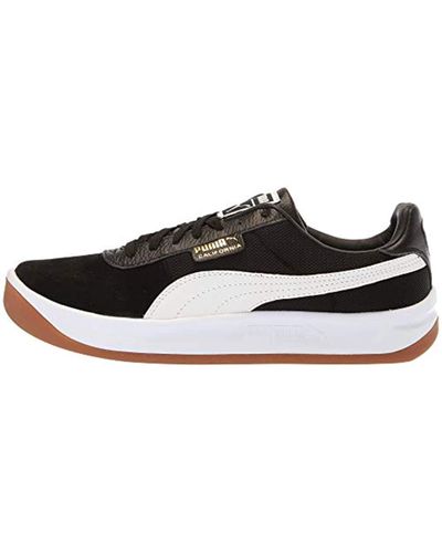 puma california negro
