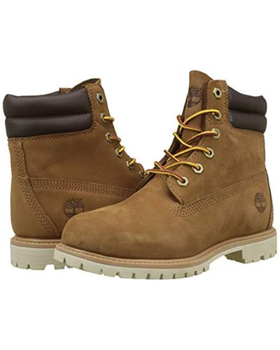 timberland waterville basic