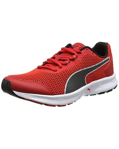 puma descendant v4