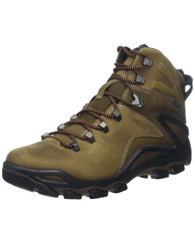 Ecco Leather Terra Evo Backpacking Boot, in Brown for Men - Lyst
