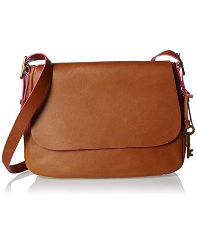 sac fossil harper