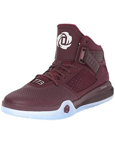 D Rose 773 Iv Basketball Shoe in Maroon 