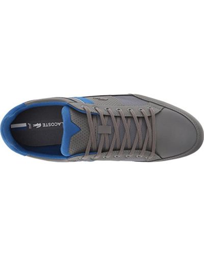 lacoste chaymon dark grey