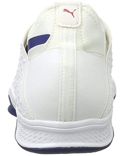 puma evospeed indoor netfit