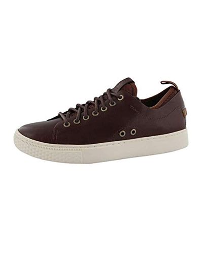polo ralph lauren dunovin sneakers