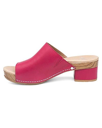 dansko maci raspberry