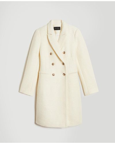 ann taylor white coat