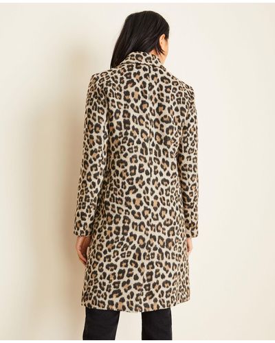 ann taylor leopard coat