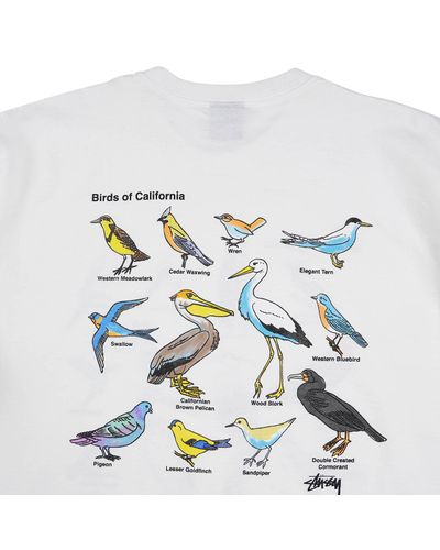 Stussy California Birds Tee