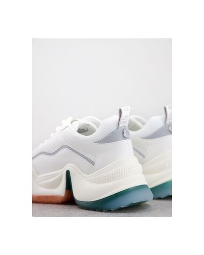 steve madden bandi