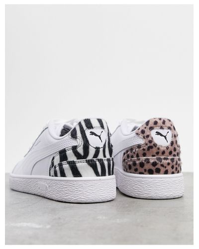 basket puma leopard