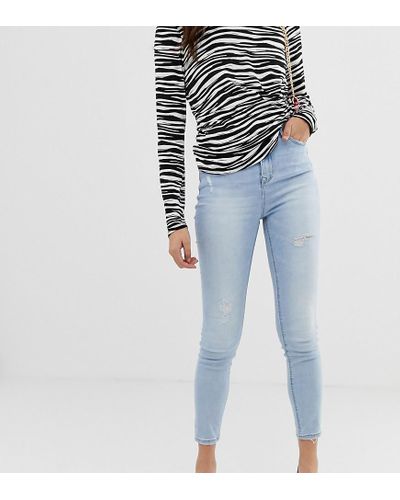 Stradivarius body shape - draug.net
