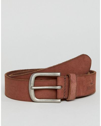 Hollister brown belt Clearance