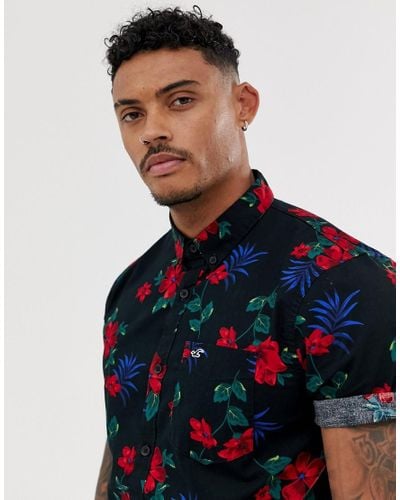 hollister mens short sleeve shirts
