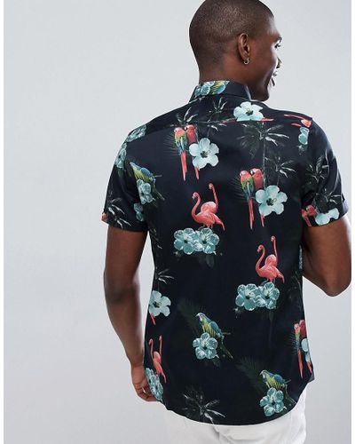 ted baker flamingo t shirt