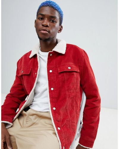 mens borg collar jacket