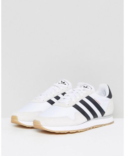 adidas original haven