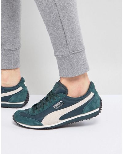 puma whirlwind winterized