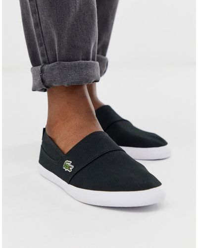 Wolf in sheep's clothing lightweight Fruity lacoste shoes sale marking  guide confess