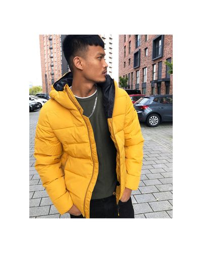 Pull&Bear Padded Puffer Jacket With Hood in Yellow for Men | Lyst
